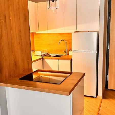 Apartment Ceglana 55, Przy Szpitalu Okulistycznym, Darmowe Miejsce W Garazu Podziemnym, Udogodnienia Dla Niepelnosprawnych Katowice