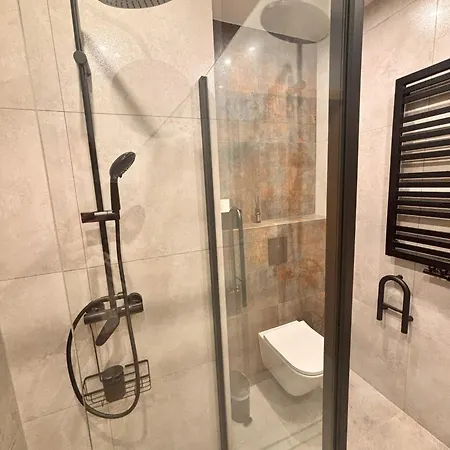 Appartamento Ceglana 55, Przy Szpitalu Okulistycznym, Darmowe Miejsce W Garazu Podziemnym, Udogodnienia Dla Niepelnosprawnych Katowice