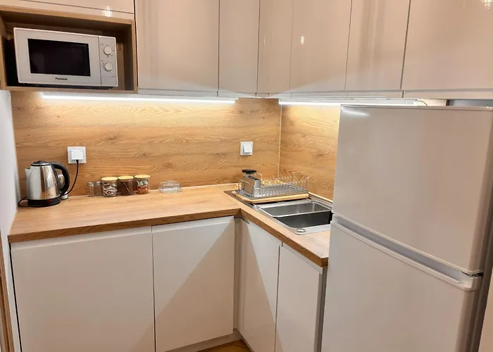 Ceglana 55, Przy Szpitalu Okulistycznym, Darmowe Miejsce W Garazu Podziemnym, Udogodnienia Dla Niepelnosprawnych Lejlighed Katowice